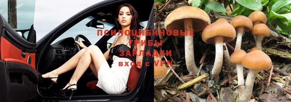 первитин Надым