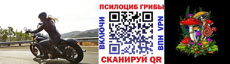 купить наркотики цена  Новокубанск  Галлюциногенные грибы прущие грибы 